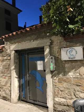 Giardino d’Infanzia Delfino Blu, Capodistria vrtec Delfino Blu Koper