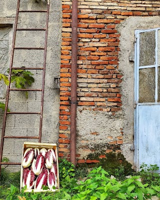 Azienda Agricola "Pagliette" Bio