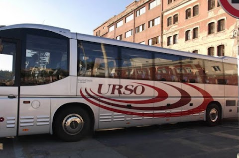 Urso Guglielmo Bus