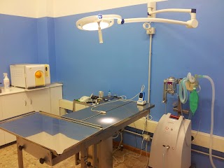 AMBULATORIO VETERINARIO BOLTIERE