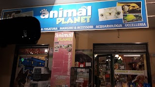 Animal Planet - Pet Shop