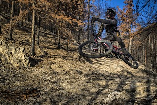 Vallone delle Cese Bike Park