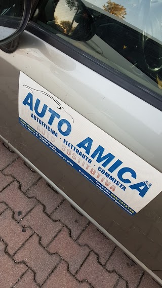 Autoamica