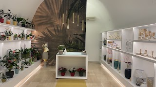 Ambiente e Giardino showroom