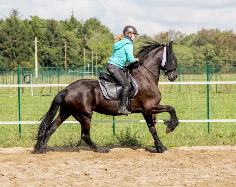 Passeggiate a Cavallo in provincia di Milano - Scuderia Esposito