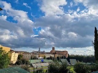 Stadio Artemio Franchi