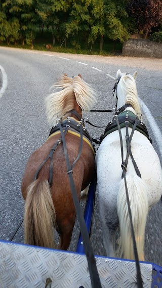 Centro Sportivo Equestre Associazione Sportiva Dilettantistica