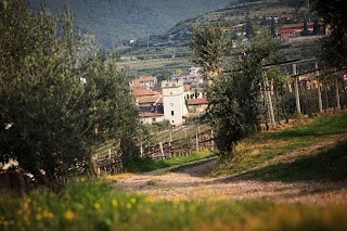 Azienda Agricola Corteforte