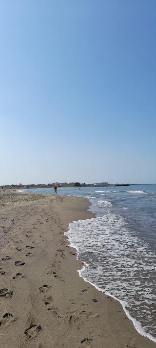 Spiaggia naturista di Fiumicino