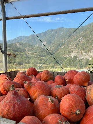 Az. Agricola LE CASCATE