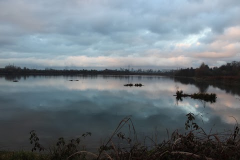 Oasi Naturalistica della Martesana