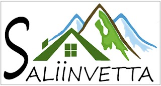 Saliinvetta