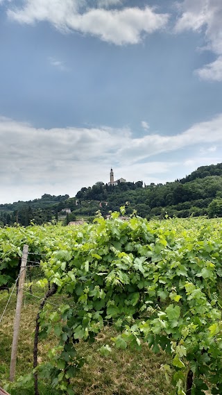 Sagra dei Bisi di Colognola ai Colli