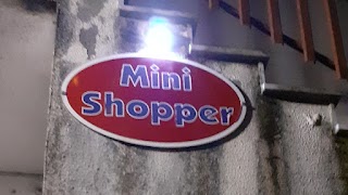 Mini Shopper