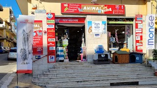 Animal Shop Di Bartolone Francescopaolo