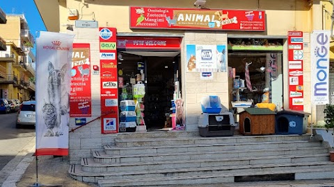 Animal Shop Di Bartolone Francescopaolo