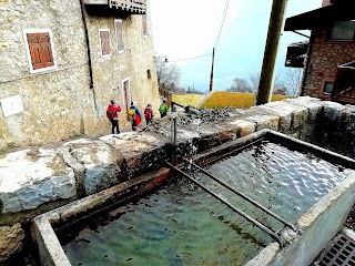 Agritur Calvola