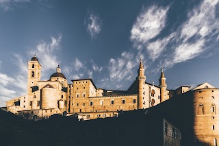 Università degli Studi di Urbino Carlo Bo