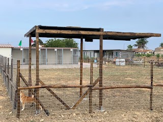 Torii Farm