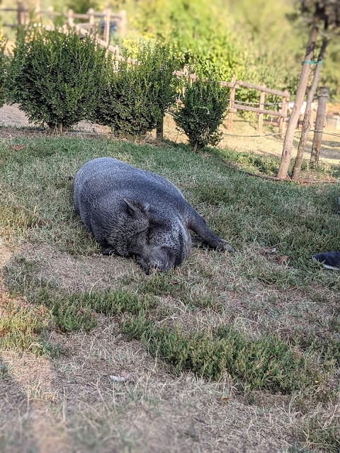 Fattoria Didattica "La G. Raffa"