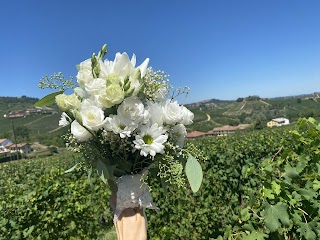 Fiori e Piante Pensieri...