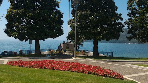 Consorzio Lago di Garda Veneto