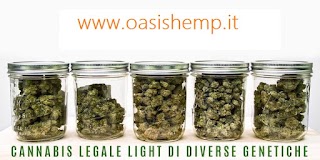 Oasis Hemp