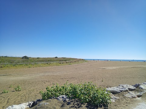 Foto di Faro di Punta Sabbioni - Punta Sabbioni (VE), Italia