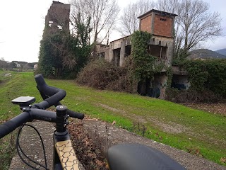 Pisa bike adventures