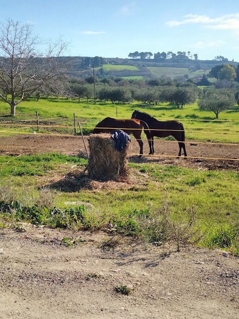 HERBESSUS A CAVALLO - CENTRO IPPICO- ESCURSIONI A CAVALLO