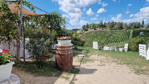 PODERE RIOSTO cantina nuova cene in vigna ed eventi