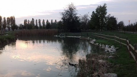 Piscina San Felice