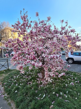 Caffè De Florio Torino