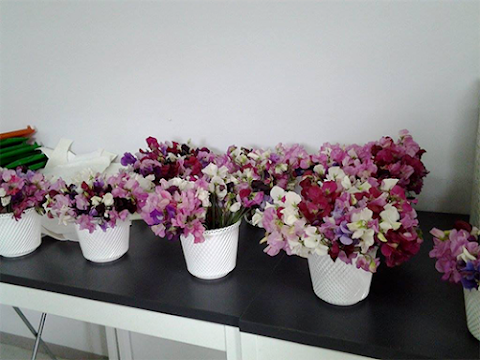 Floral Designer - Foglia Giovanni