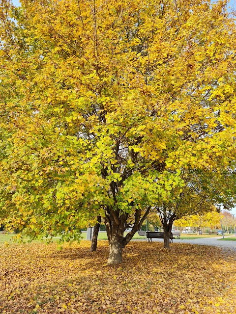 Parco Giochi - Gaggio