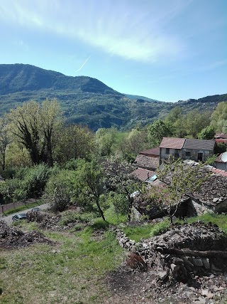 "Bar dei cacciatori" di Tagliani Delfino