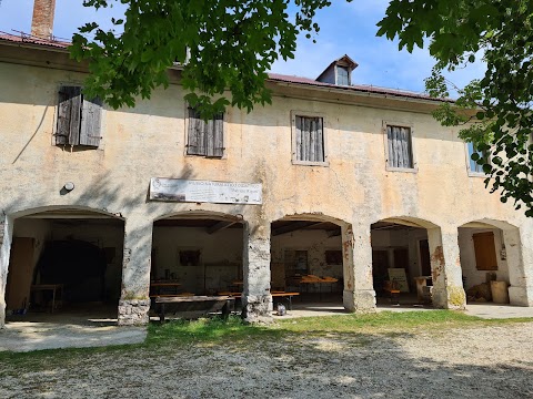 Rustico Bertigo LAB MUSEO NATURALISTICO