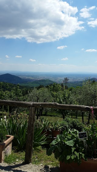 Bar Ristorante " Da Bozzolo" di Marraccini Leonardo - Casore del Monte