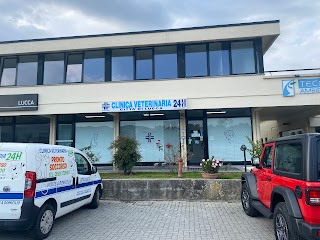 Clinica Veterinaria 24 ore Città di Lucca