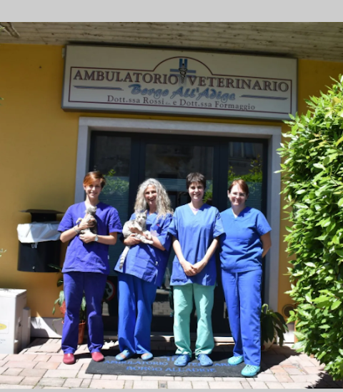 Ambulatorio Veterinario Borgo all'Adige