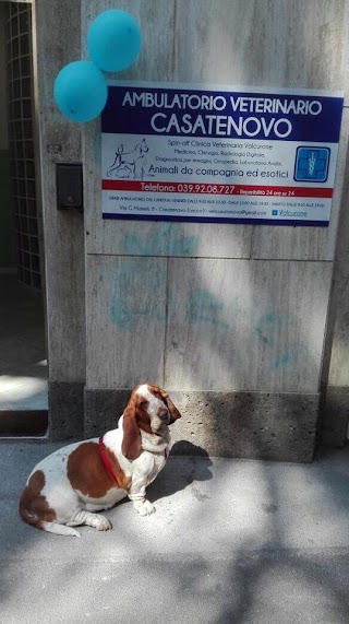 Ambulatorio Veterinario Casatenovo