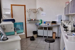 Clinica Veterinaria Croce Blu