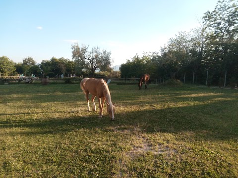 Centro Equestre Villa Mary