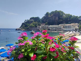 Ristorante Il Delfino