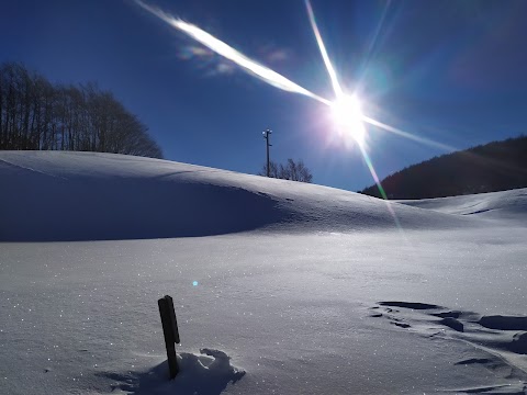 la corte dei cerri