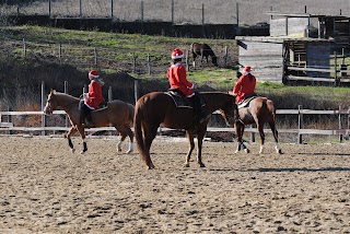 Circolo Ippico Melazza Ranch A.s.d.