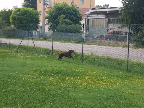 L'isola Felice Pensione per Animali di Costa Giuseppe