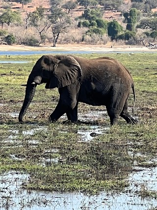 African Explorer