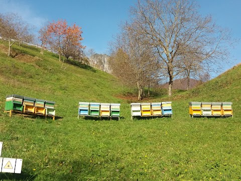 Azienda Agricola Rosaspina di Tanasa Valentina