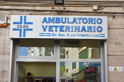 Ambulatorio veterinario e toelettatura Cilea